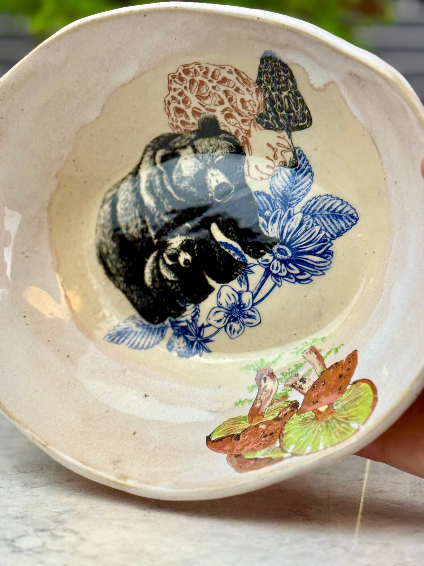 Bear Bowl/Dish