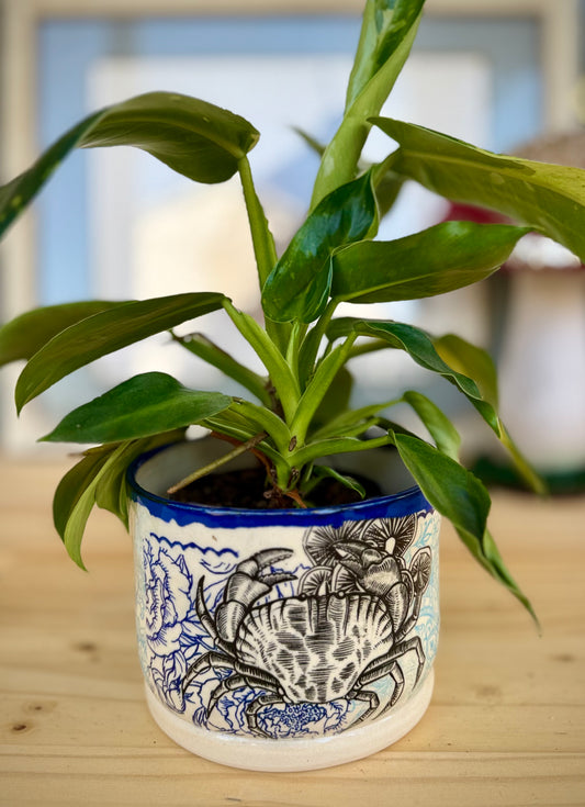 ✨Seconds✨Crab Quilt Planter