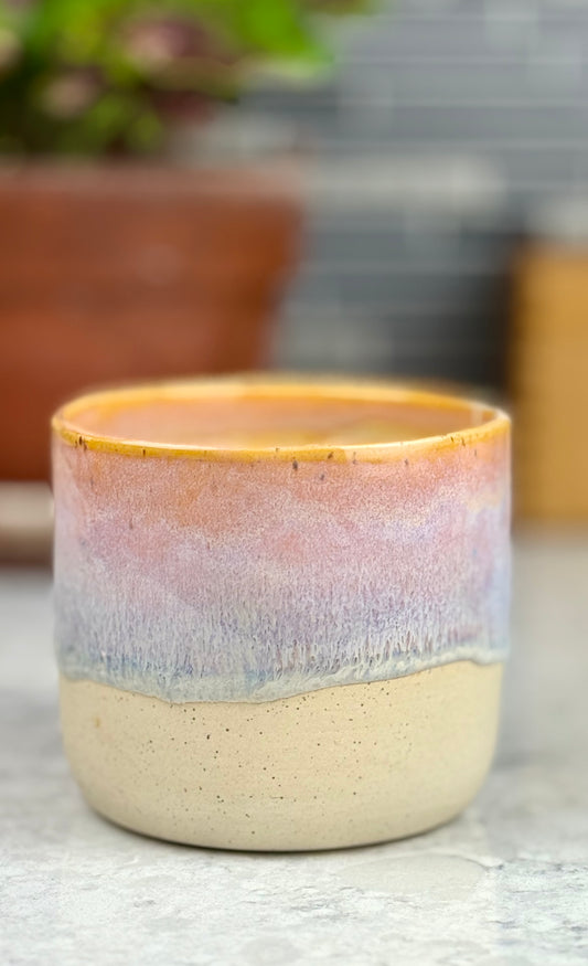 ✨Seconds✨sunset planter