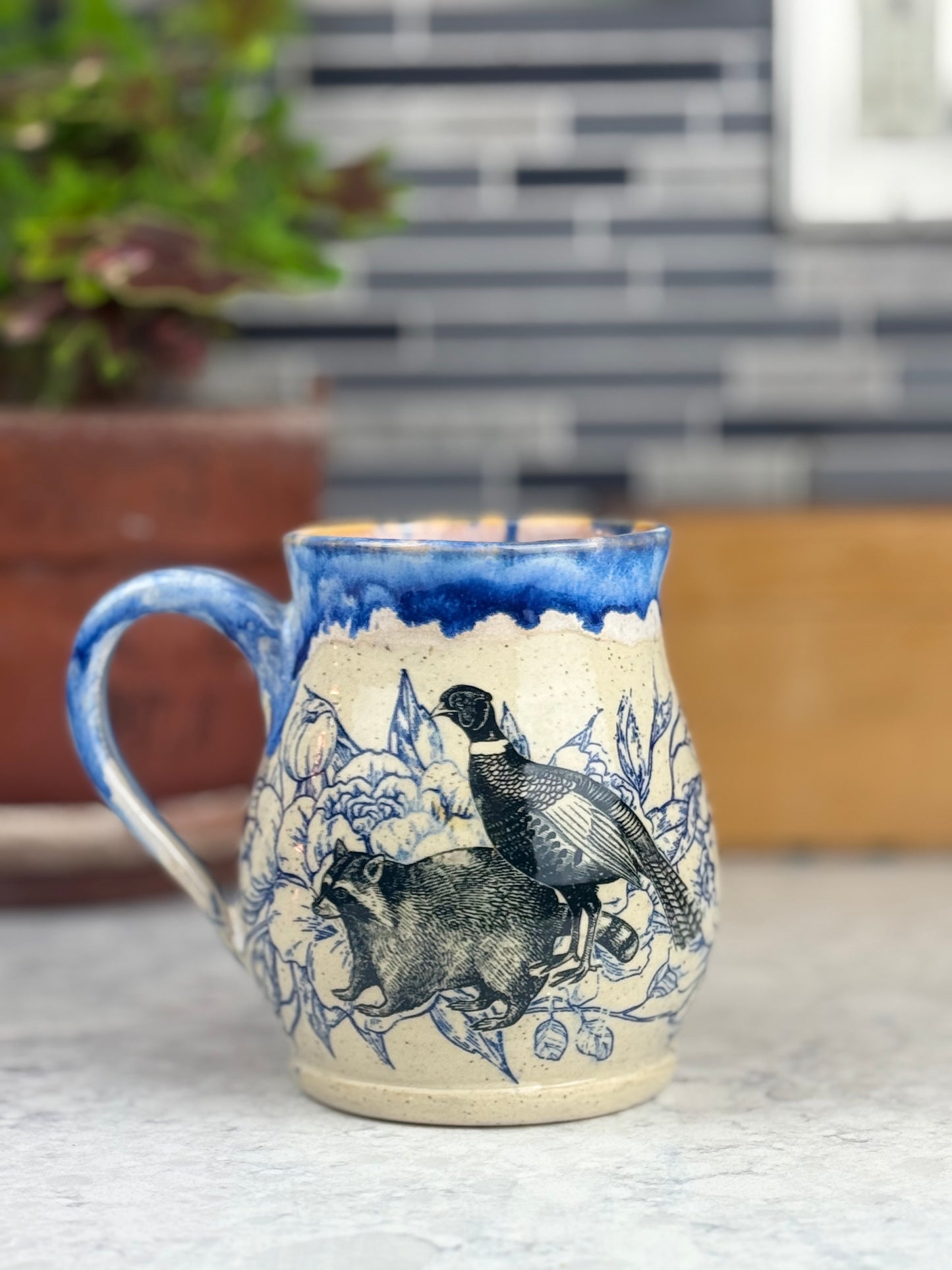 Raccoon Mug