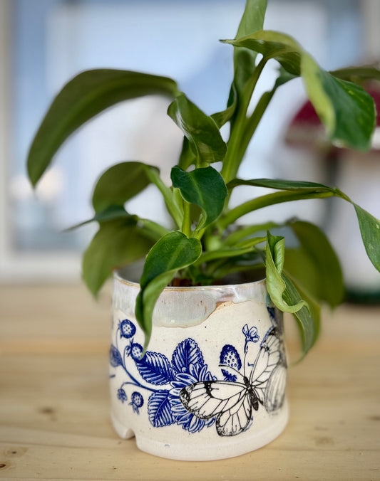 Butterfly Planter