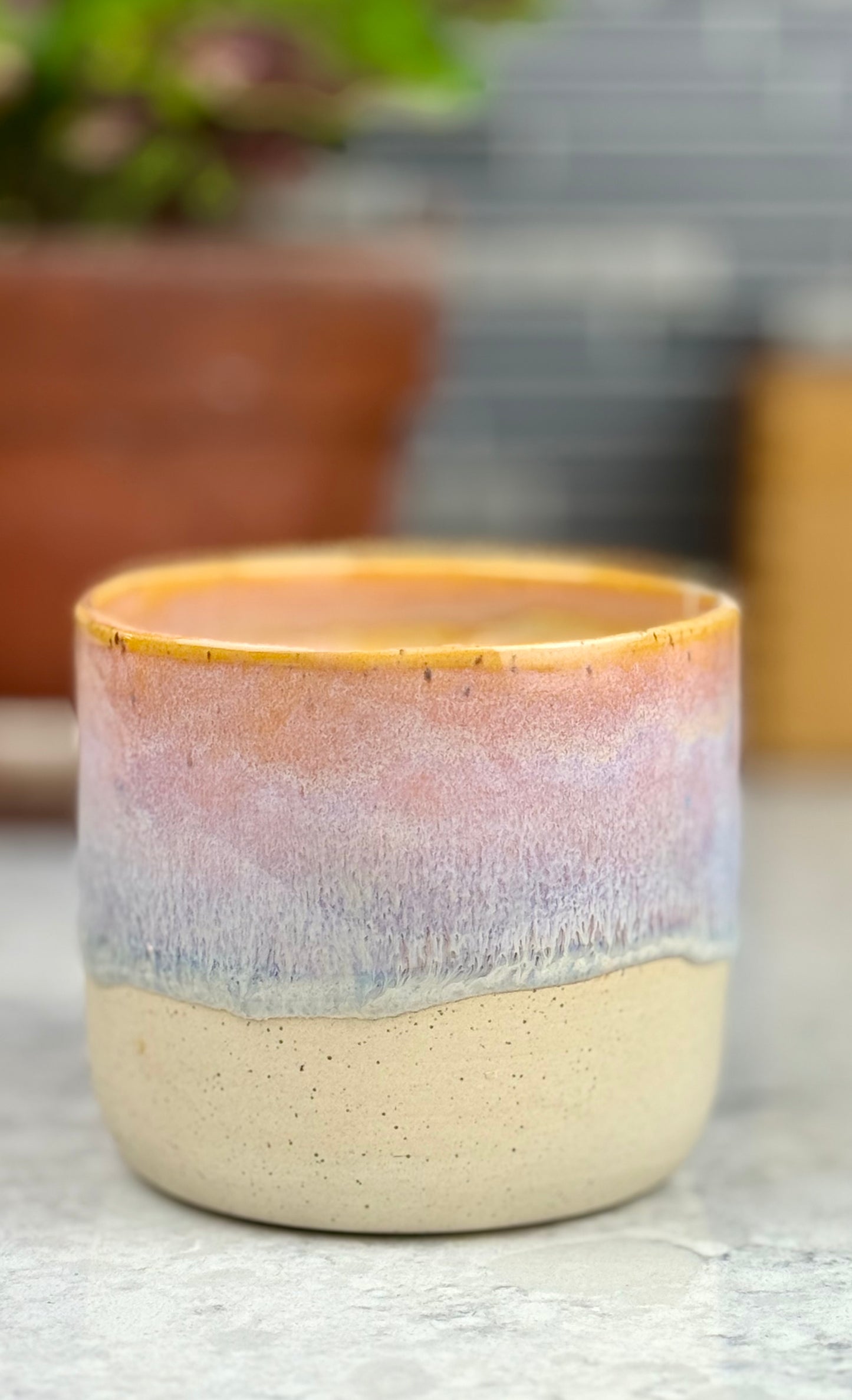 ✨Seconds✨sunset planter
