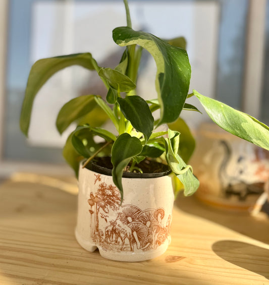 ✨Seconds✨Little Alien Prairie Planter