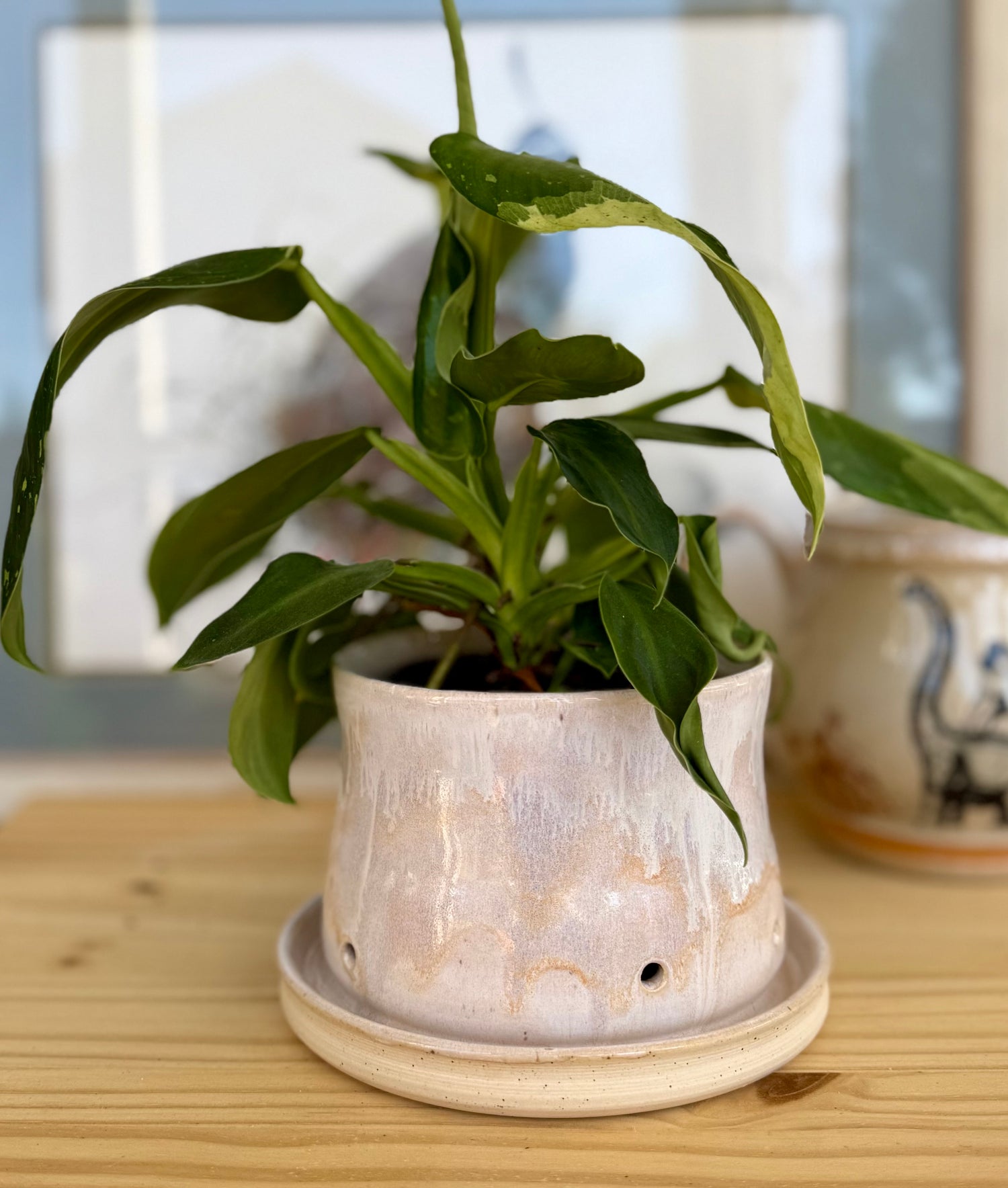 Planters